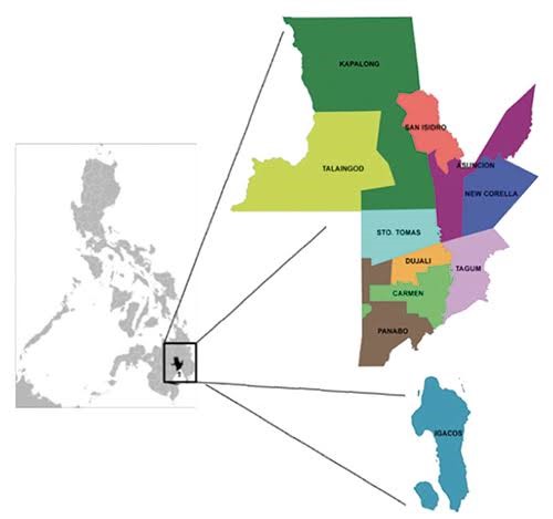 Location map of Kapalong in Davao del Norte province
