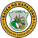 Municipality of Kapalong seal