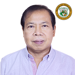 Engr. Joselito V. Rivero, MsCE, REA
