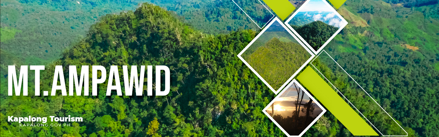 Discover Mt. Ampawid in Kapalong, showing a panoramic view of the green mountain ridges and scenic viewpoints.