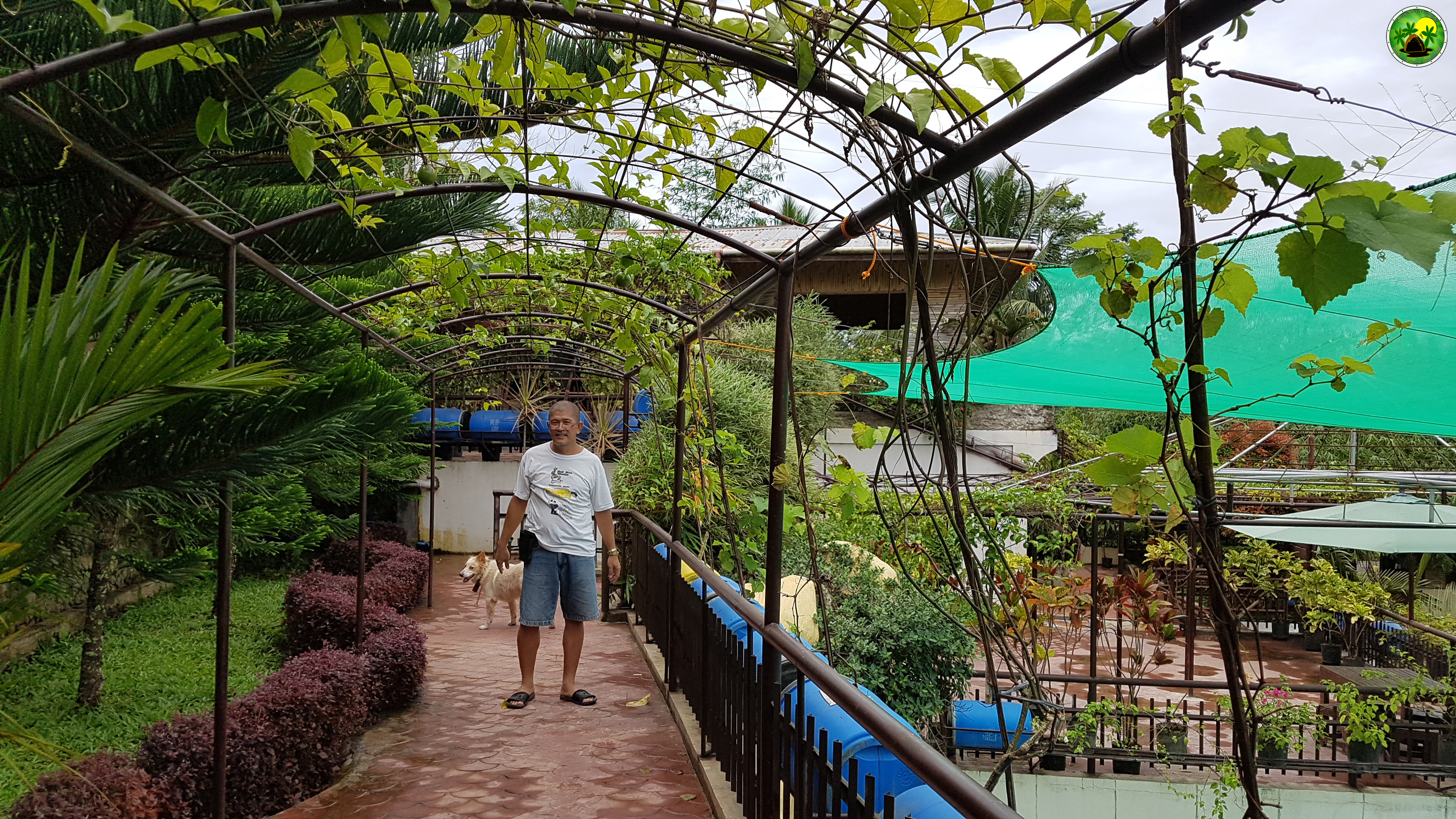 Kapalong Woodland Resort – garden and greenery area