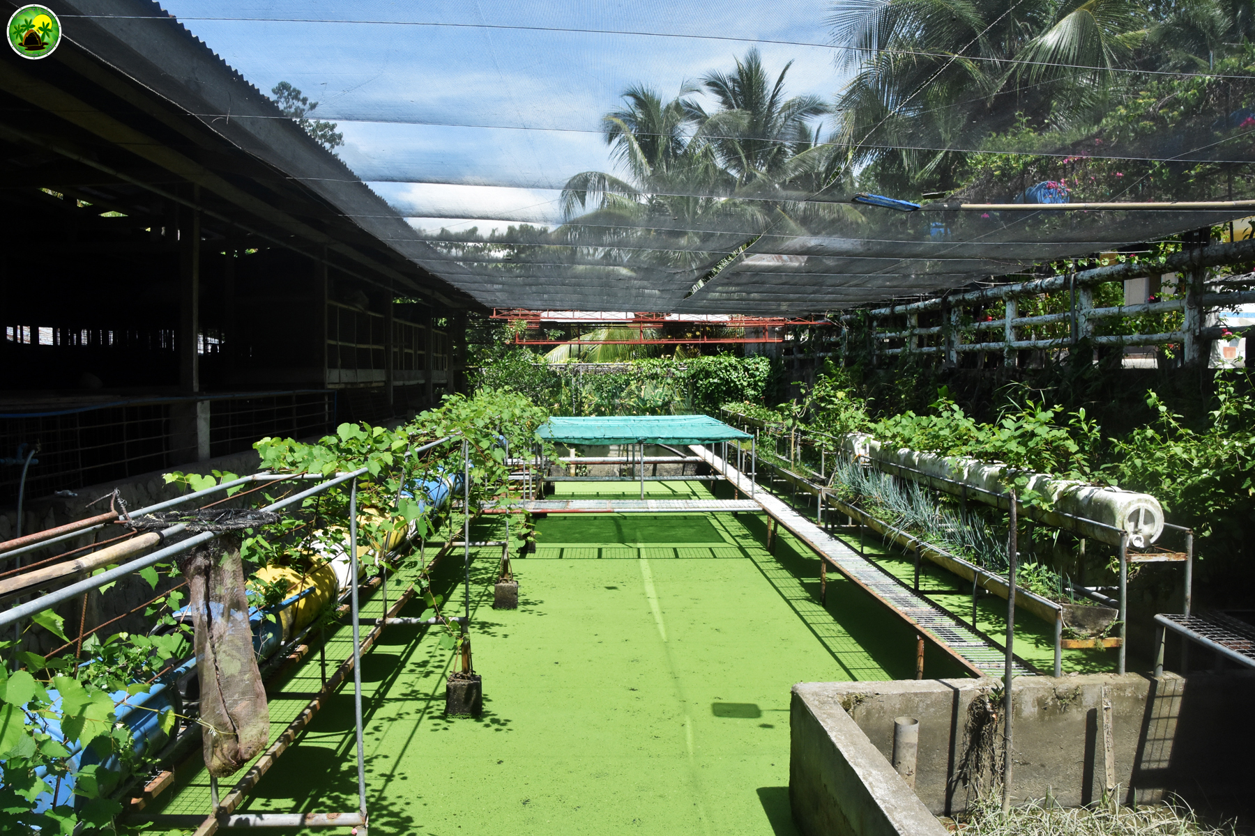 Kapalong Woodland Resort – scenic viewpoint and open spaces
