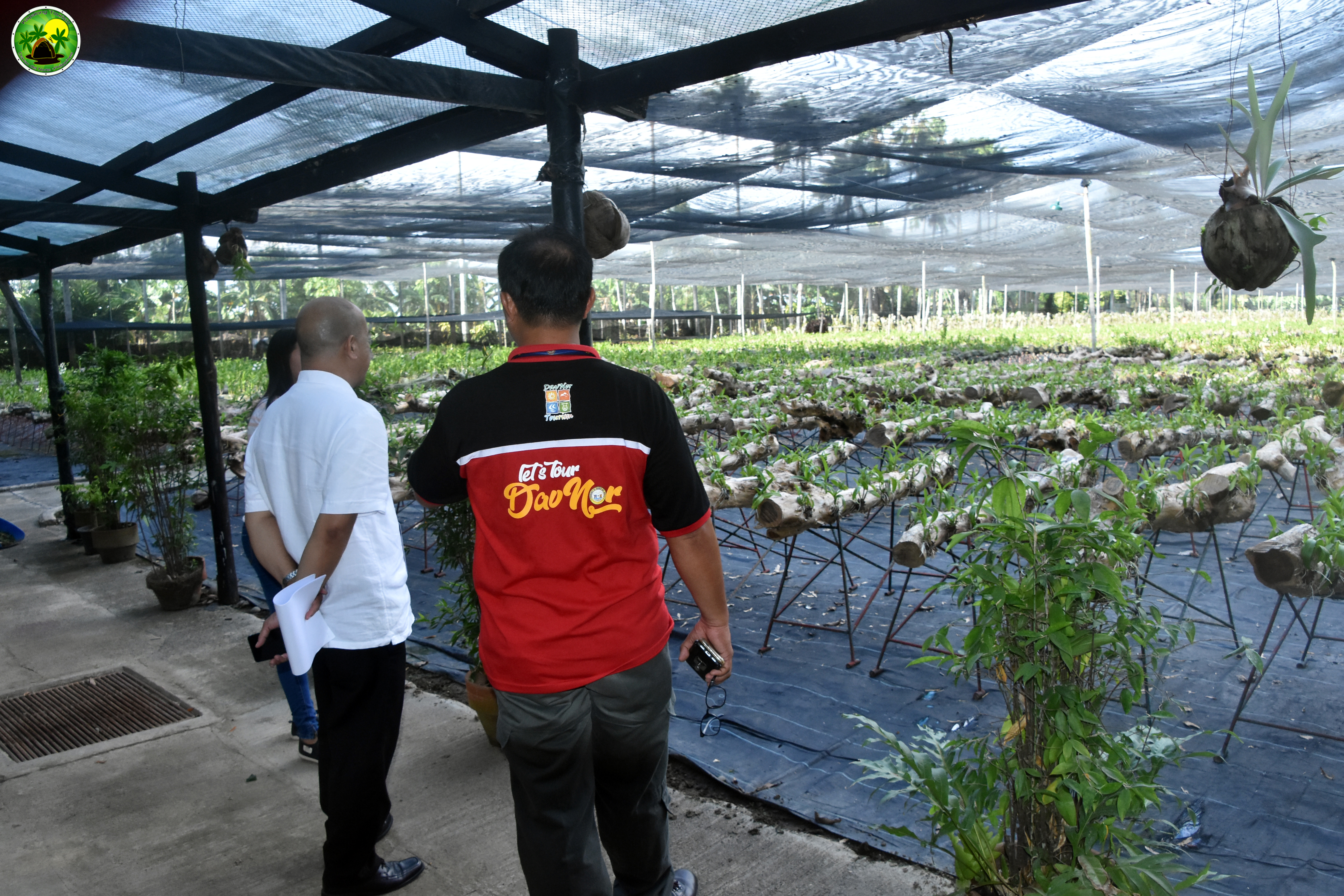 Pag-Asa Farms – plant nursery area